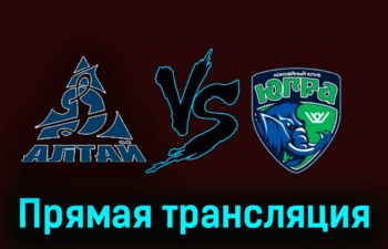 Динамо-Алтай — Югра 13 ноября 2023 года прямая трансляция