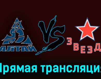 Динамо-Алтай — Звезда 19 ноября 2023 года прямая трансляция
