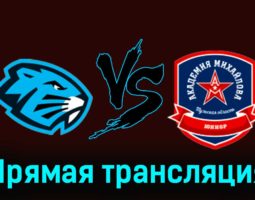 Динамо-Шинник — АКМ-Юниор 29 ноября 2023 года прямая трансляция
