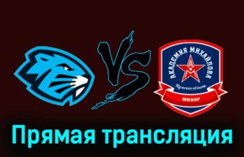 Динамо-Шинник — АКМ-Юниор 29 ноября 2023 года прямая трансляция