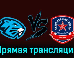 Динамо-Шинник — АКМ-Юниор 30 ноября 2023 года прямая трансляция
