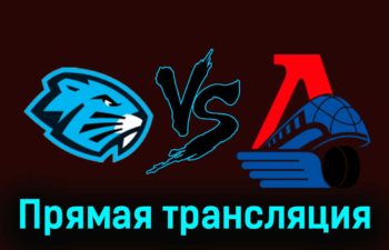 Динамо-Шинник — Локо 17 ноября 2023 года прямая трансляция