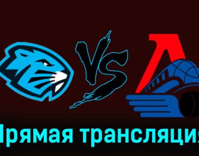 Динамо-Шинник — Локо 17 ноября 2023 года прямая трансляция