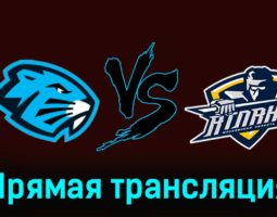 Динамо-Шинник — МХК Атлант 25 ноября 2023 года прямая трансляция