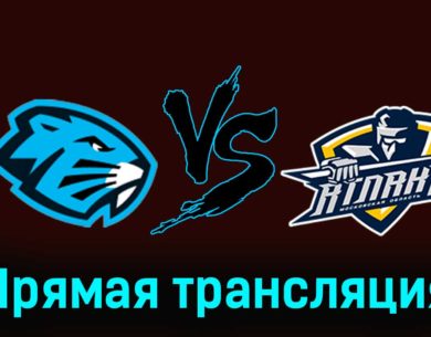 Динамо-Шинник — МХК Атлант 26 ноября 2023 года прямая трансляция
