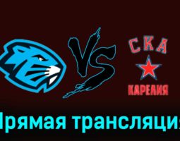 Динамо-Шинник — СКА-Карелия 20 ноября 2023 года прямая трансляция