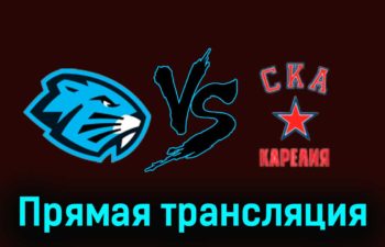 Динамо-Шинник — СКА-Карелия 20 ноября 2023 года прямая трансляция
