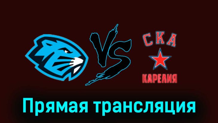 Динамо-Шинник — СКА-Карелия 20 ноября 2023 года прямая трансляция Динамо-Шинник — СКА-Карелия 20 ноября 2023 года прямая трансляция