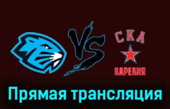 Динамо-Шинник — СКА-Карелия 21 ноября 2023 года прямая трансляция