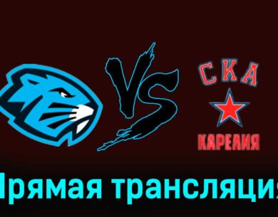 Динамо-Шинник — СКА-Карелия 21 ноября 2023 года прямая трансляция