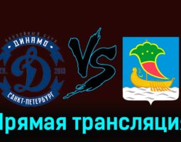 Динамо СПб — Челны 19 ноября 2023 года прямая трансляция