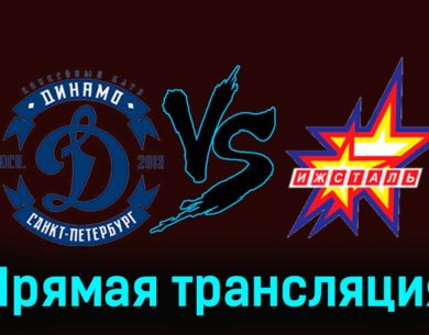 Динамо СПб — Ижсталь 15 ноября 2023 года прямая трансляция
