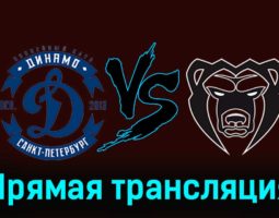 Динамо СПб — Молот 13 ноября 2023 года прямая трансляция