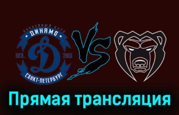 Динамо СПб — Молот 13 ноября 2023 года прямая трансляция