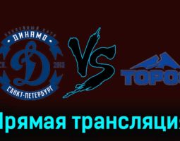 Динамо СПб — Торос 17 ноября 2023 года прямая трансляция