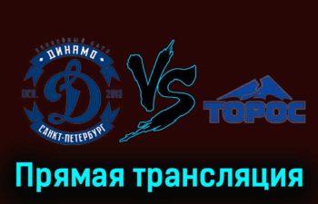 Динамо СПб — Торос 17 ноября 2023 года прямая трансляция