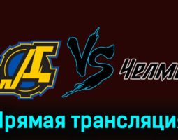 Дизель — Челмет 26 ноября 2023 года прямая трансляция