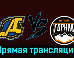 Дизель — Горняк-УГМК 30 ноября 2023 года прямая трансляция
