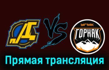 Дизель — Горняк-УГМК 30 ноября 2023 года прямая трансляция