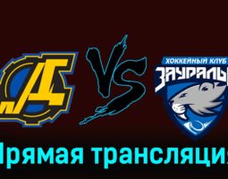 Дизель — Зауралье 24 ноября 2023 года прямая трансляция