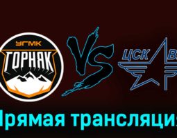 Горняк-УГМК — ЦСК ВВС 18 ноября 2023 года прямая трансляция