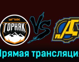 Горняк-УГМК — Дизель 20 ноября 2023 года прямая трансляция
