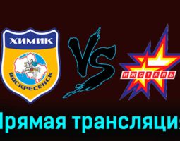 Химик В — Ижсталь 13 ноября 2023 года прямая трансляция