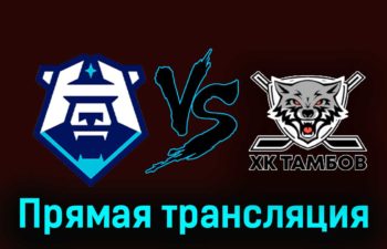 ХК Норильск — ХК Тамбов 13 ноября 2023 года прямая трансляция