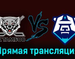 ХК Тамбов — ХК Норильск 26 ноября 2023 года прямая трансляция