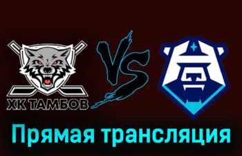 ХК Тамбов — ХК Норильск 26 ноября 2023 года прямая трансляция