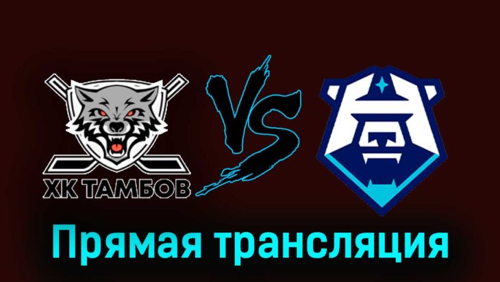 ХК Тамбов — ХК Норильск 26 ноября 2023 года прямая трансляция ХК Тамбов — ХК Норильск 26 ноября 2023 года прямая трансляция