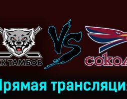 ХК Тамбов — Сокол 28 ноября 2023 года прямая трансляция