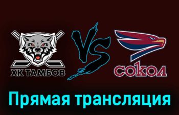 ХК Тамбов — Сокол 28 ноября 2023 года прямая трансляция