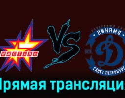 Ижсталь — Динамо СПб 23 ноября 2023 года прямая трансляция