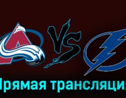Колорадо Эвеланш — Тампа-Бэй Лайтнинг 28 ноября 2023 года прямая трансляция