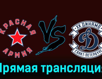 Красная Армия — МХК Динамо СПб 28 ноября 2023 года прямая трансляция