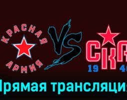 Красная Армия — СКА-1946 24 ноября 2023 года прямая трансляция