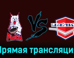 Красноярские Рыси — Чайка 16 ноября 2023 года прямая трансляция