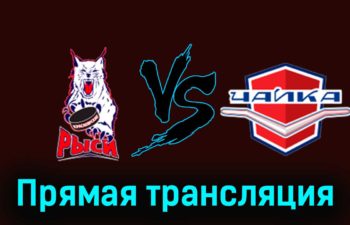 Красноярские Рыси — Чайка 16 ноября 2023 года прямая трансляция