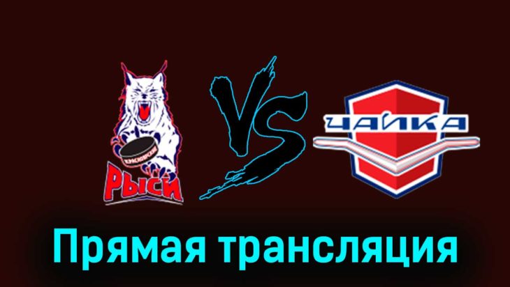 Красноярские Рыси — Чайка 16 ноября 2023 года прямая трансляция Красноярские Рыси — Чайка 16 ноября 2023 года прямая трансляция