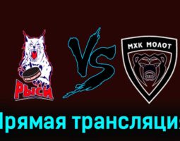 Красноярские Рыси — МХК Молот 29 ноября 2023 года прямая трансляция