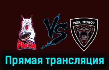 Красноярские Рыси — МХК Молот 29 ноября 2023 года прямая трансляция