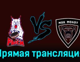 Красноярские Рыси — МХК Молот 30 ноября 2023 года прямая трансляция