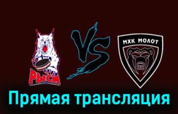 Красноярские Рыси — МХК Молот 30 ноября 2023 года прямая трансляция
