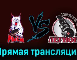 Красноярские Рыси — Тюменский Легион 25 ноября 2023 года прямая трансляция