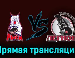 Красноярские Рыси — Тюменский Легион 26 ноября 2023 года прямая трансляция