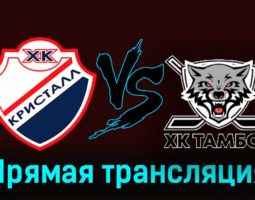 Кристалл — ХК Тамбов 20 ноября 2023 года прямая трансляция