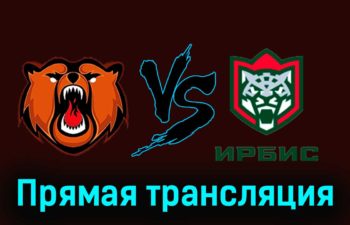 Кузнецкие Медведи — Ирбис 16 ноября 2023 года прямая трансляция