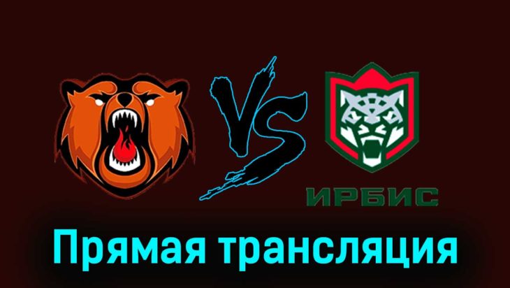 Кузнецкие Медведи — Ирбис 16 ноября 2023 года прямая трансляция