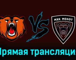 Кузнецкие Медведи — МХК Молот 26 ноября 2023 года прямая трансляция